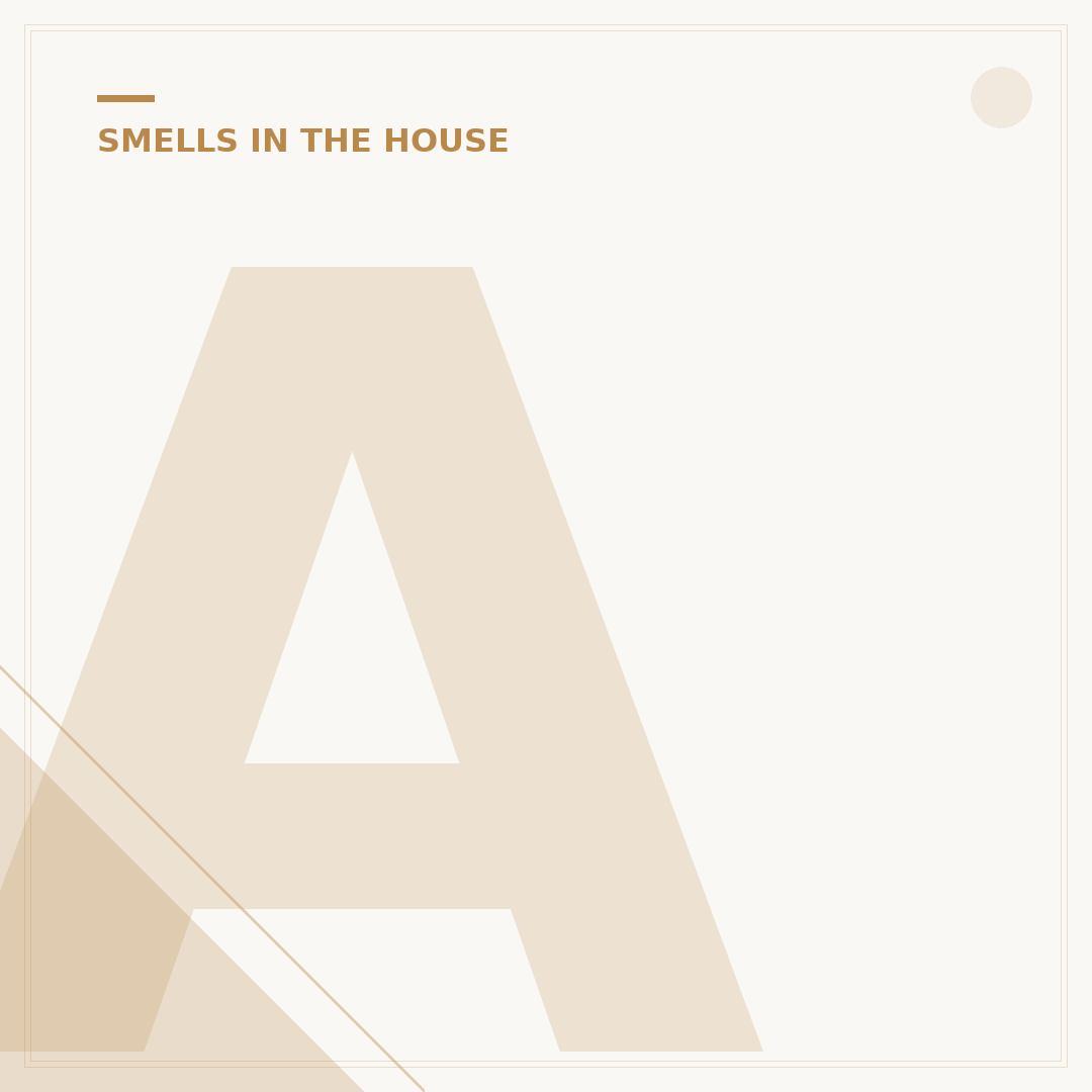 Ammonia Smell in House: Causes and How to Eliminate It