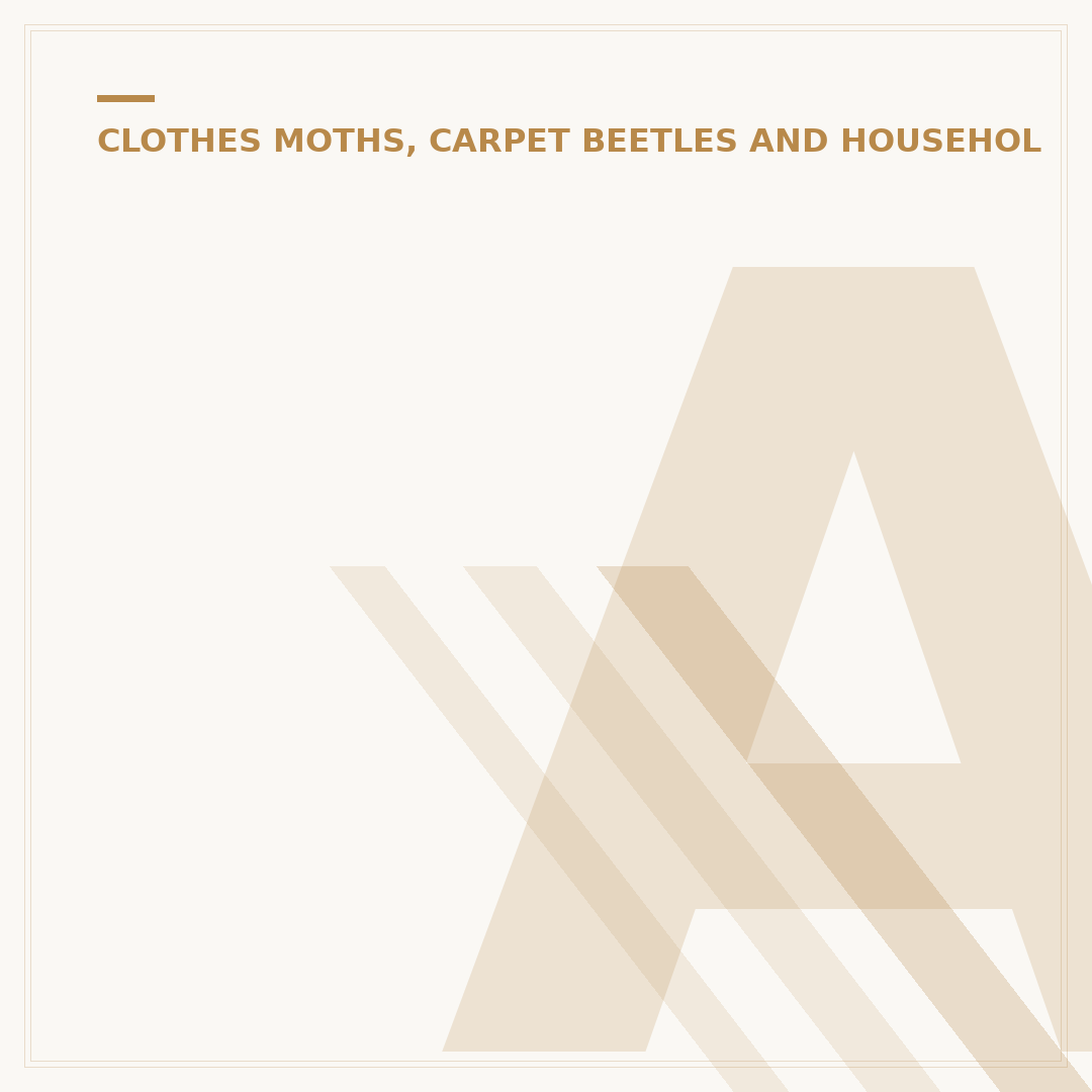 Anthrenus Carpet Beetle: Identification and Control