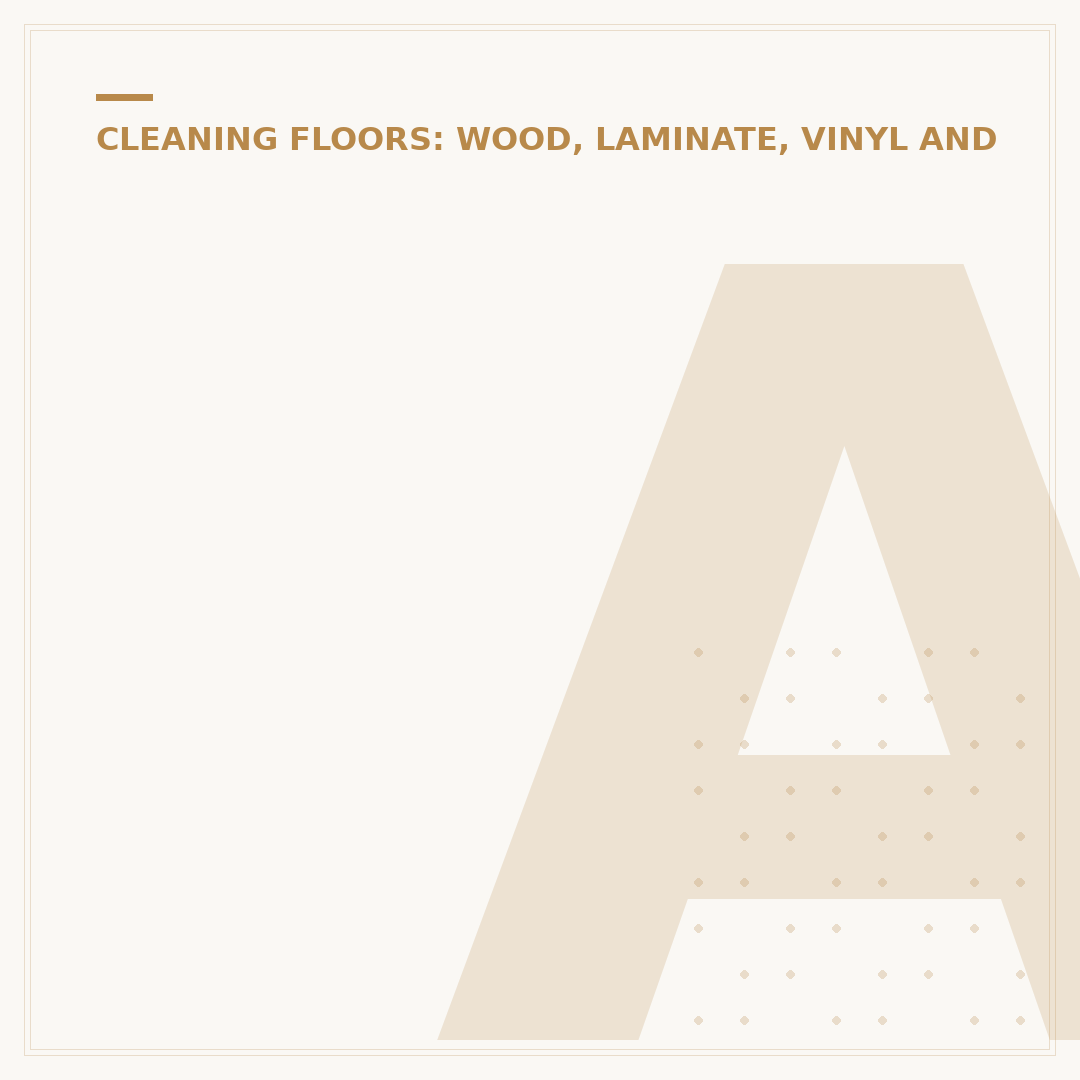 Asevi Floor Cleaner