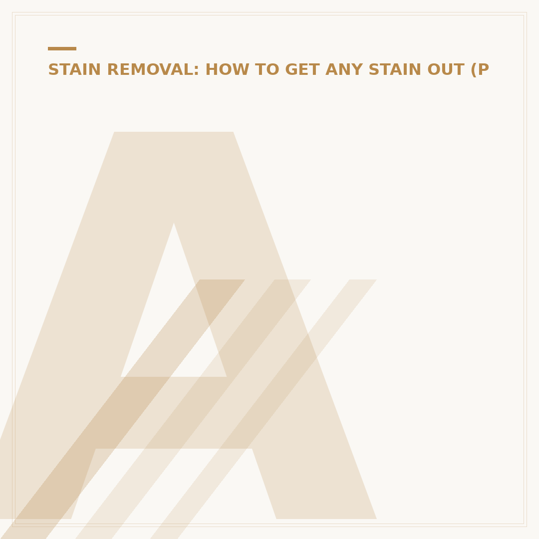 Asevi Stain Remover Spray: Tackle Tough Stains