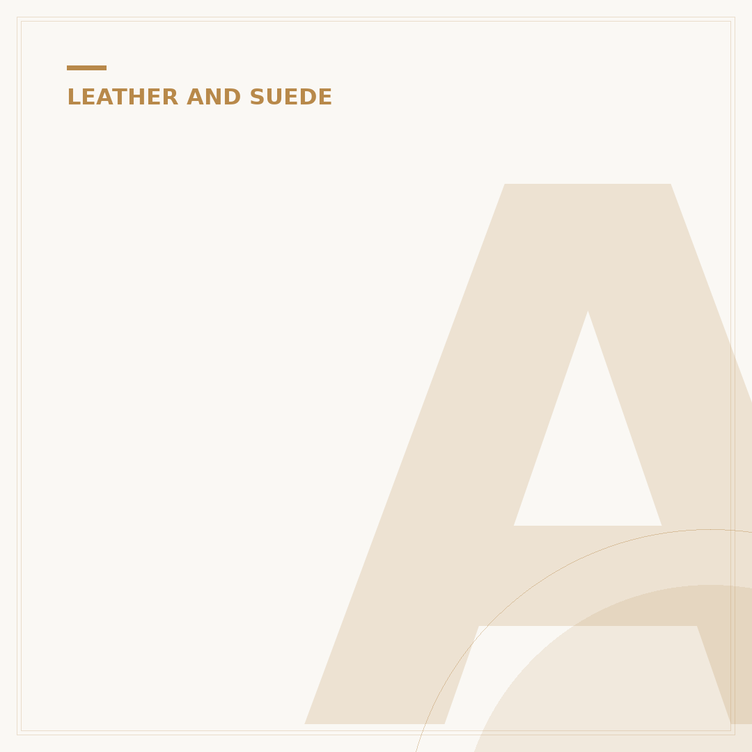Automotive Leather Seat Cleaner: What to Know