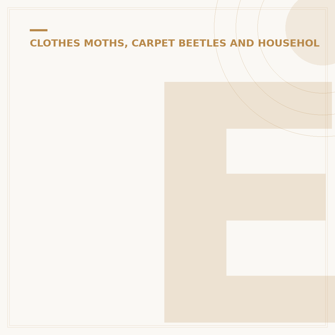 Early Bed Bug Poop Stains on Sheets