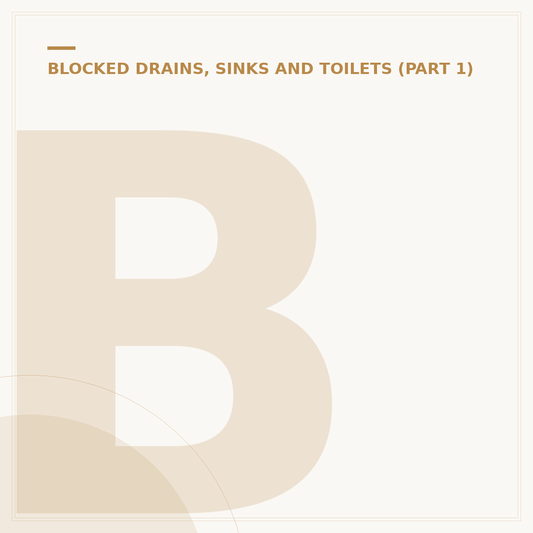 Blocked Drain Services: When to Call Professionals