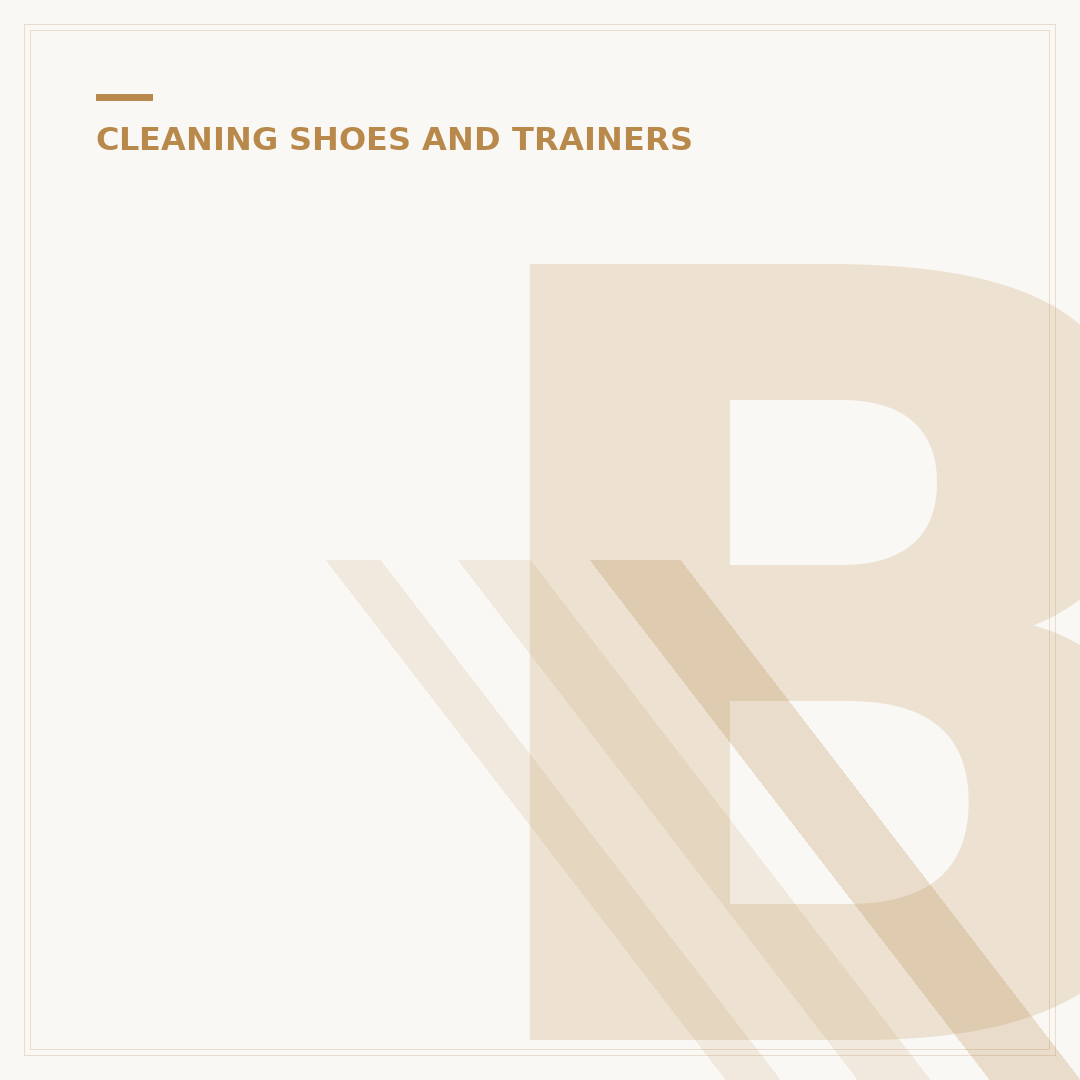 Boot Buddy Shoe Cleaner: How to Use & Benefits