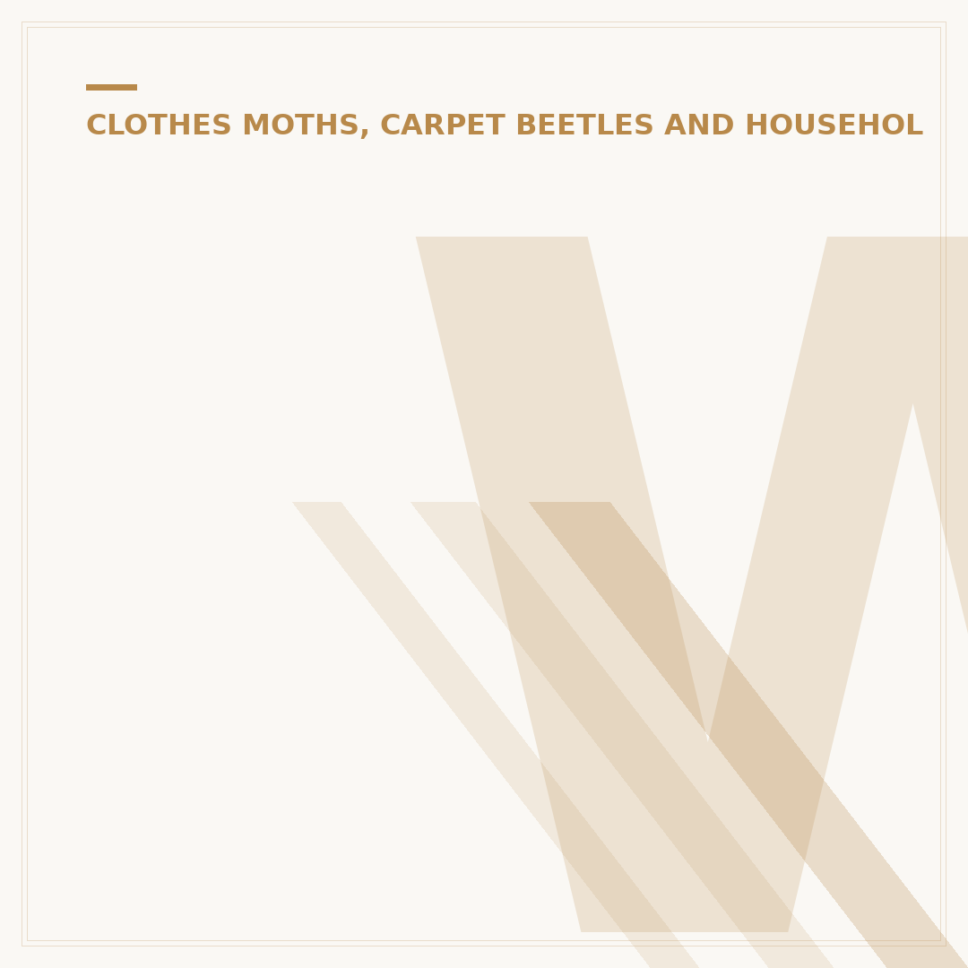 Why Have I Got Carpet Beetles? Causes & Prevention
