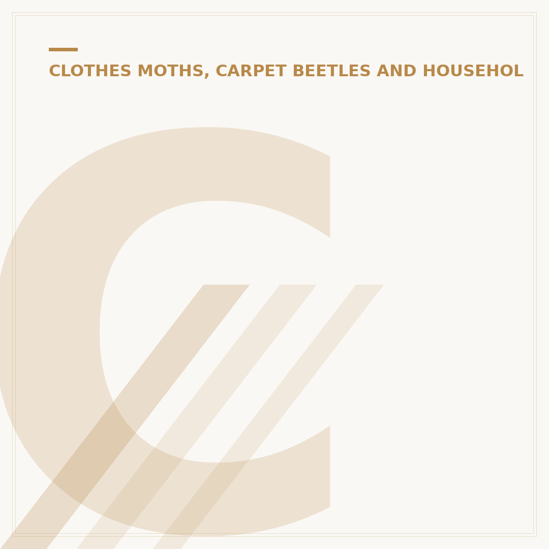 Carpet Beetle Killer: Effective Solutions for Infestations