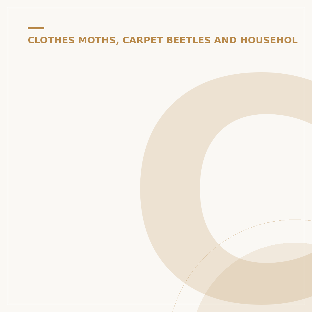 Carpet Beetle Sprays: How to Choose and Use Safely