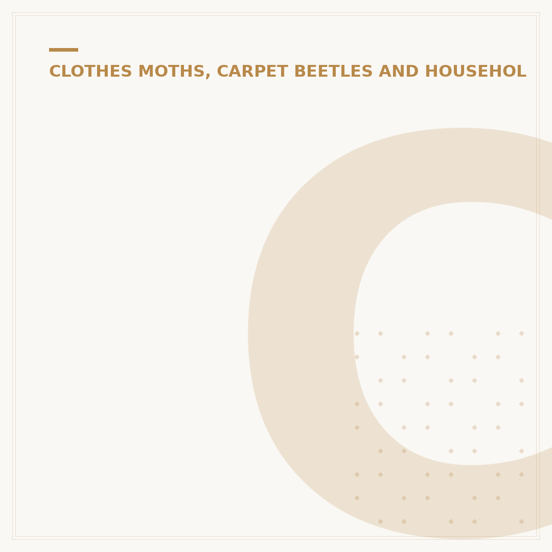 Carpet Beetle vs Bed Bug: Identifying the Invaders