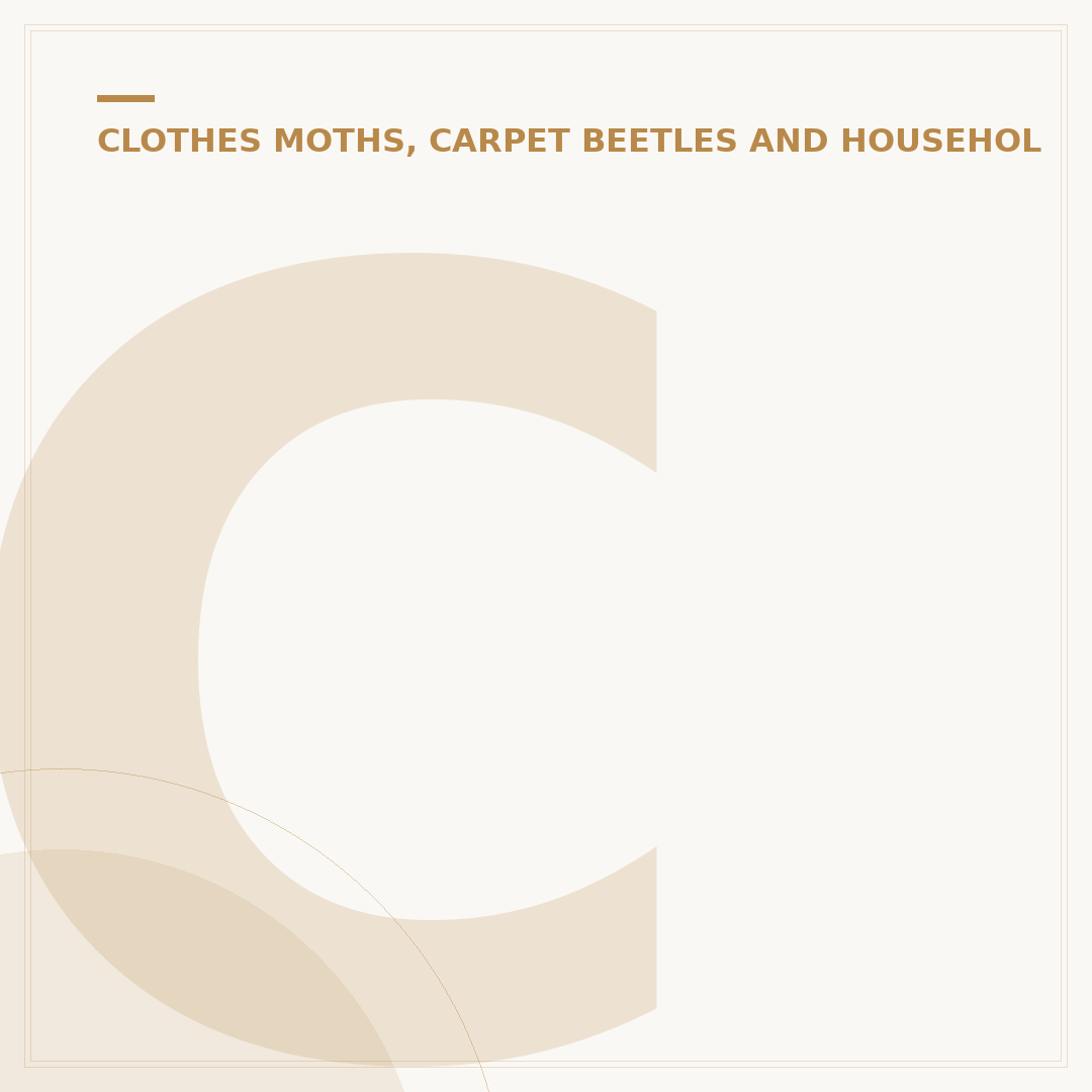 Can Carpet Beetles Fly?