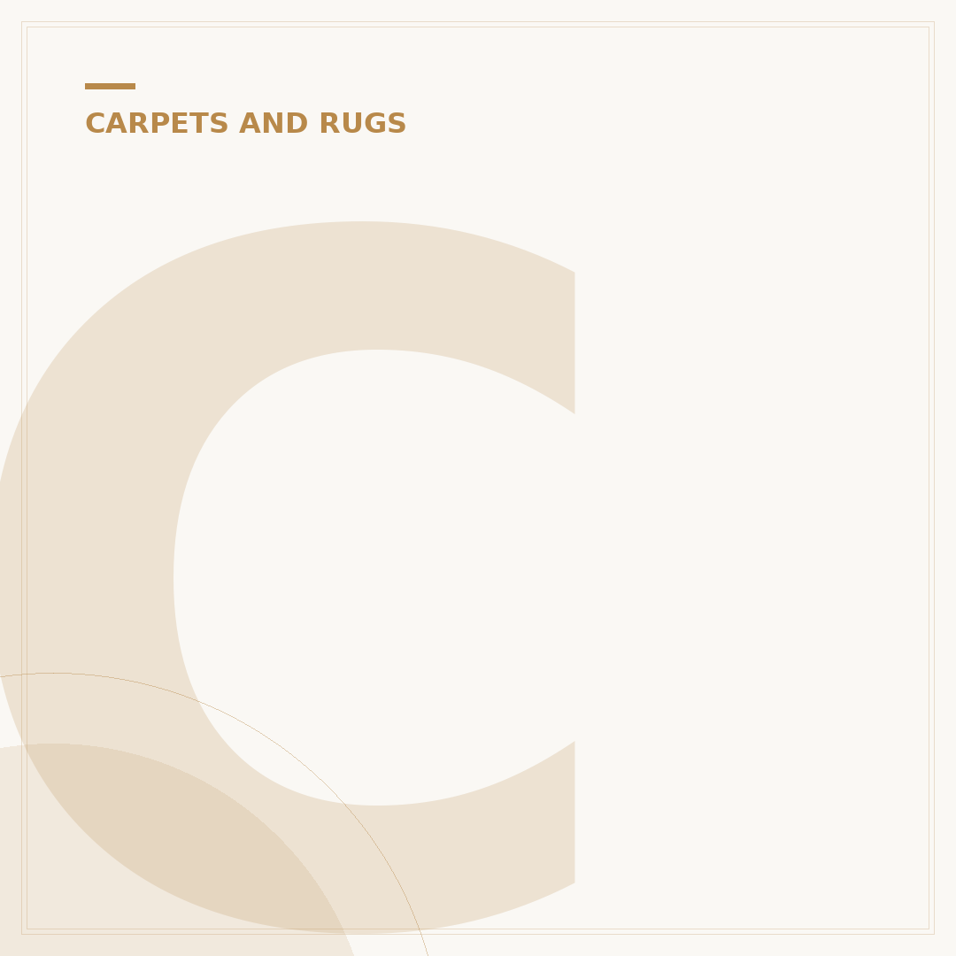 Carpet Cleaning with Rug Doctor: What to Know