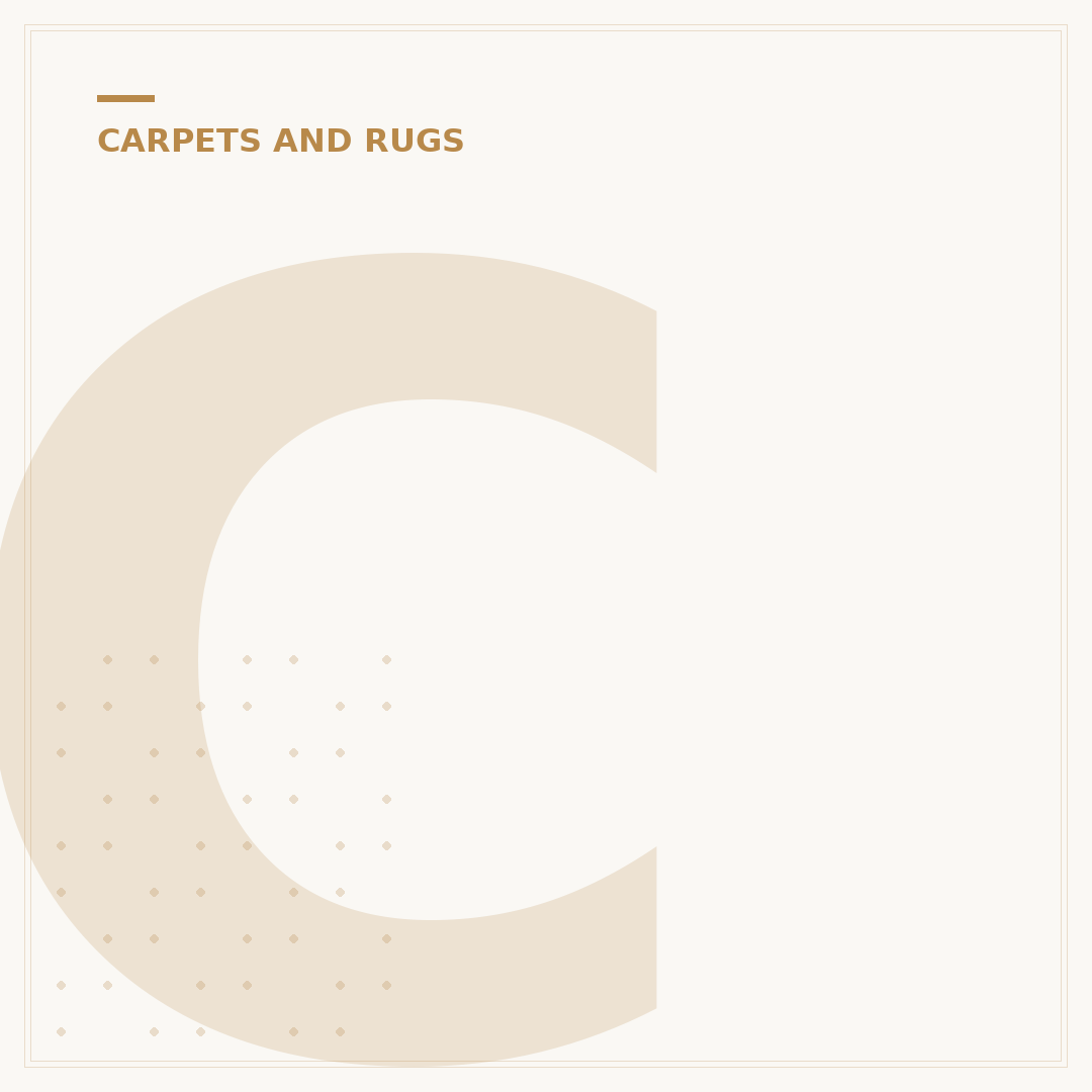 Carpet and Couch Cleaning