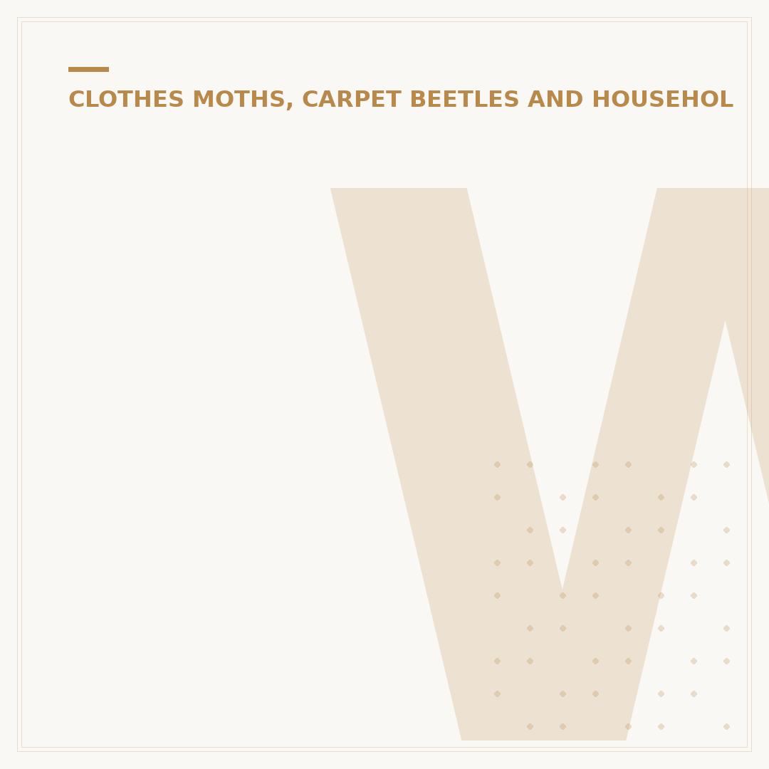 What Do Carpet Moths Look Like?