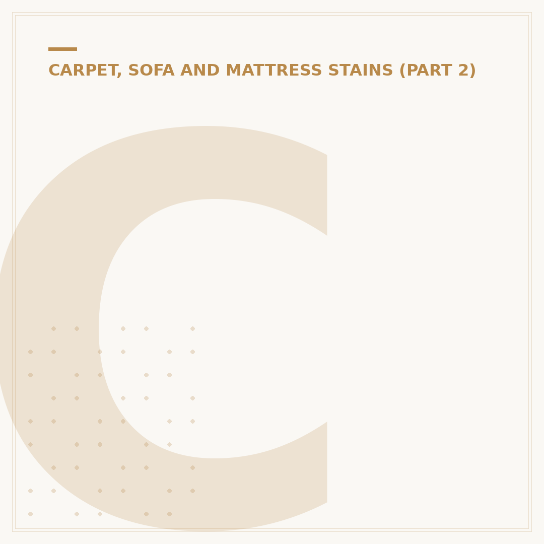 Cleaning Cat Urine Out of Carpet: Odour & Stains