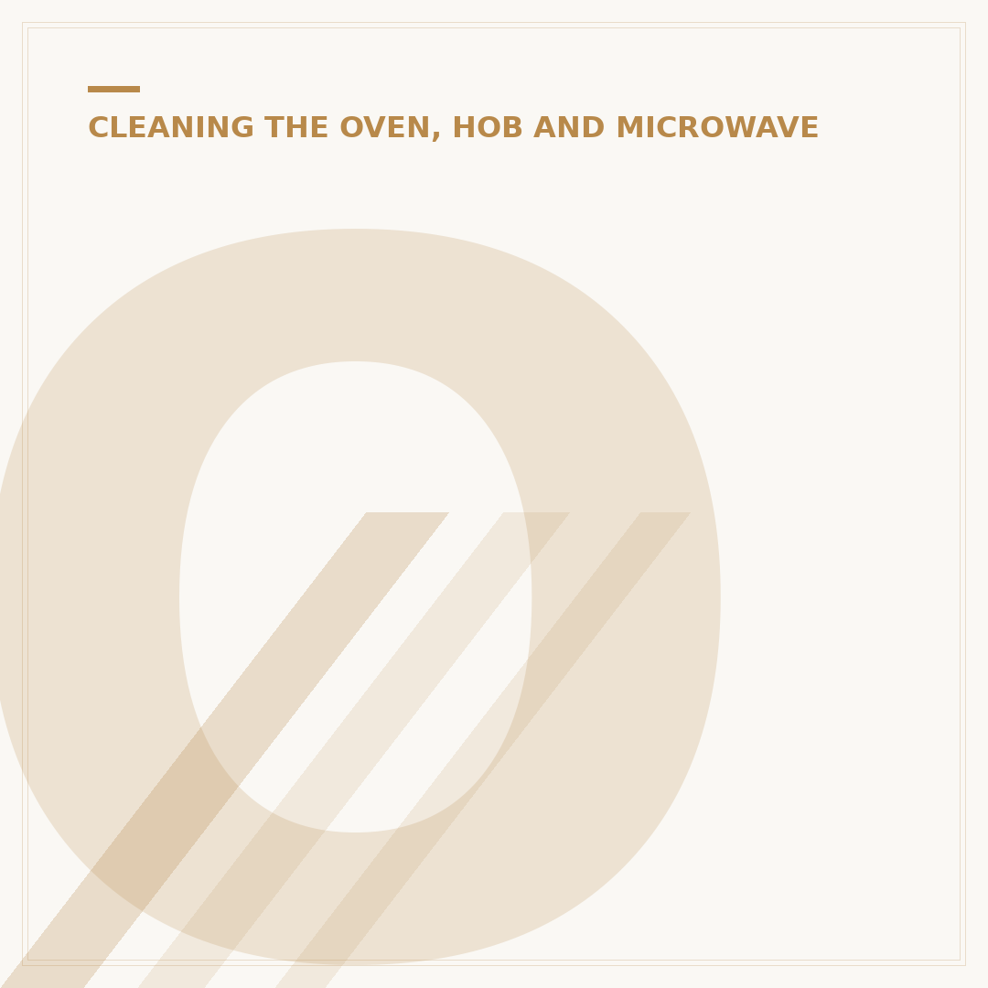 Oven Cleaner for Racks