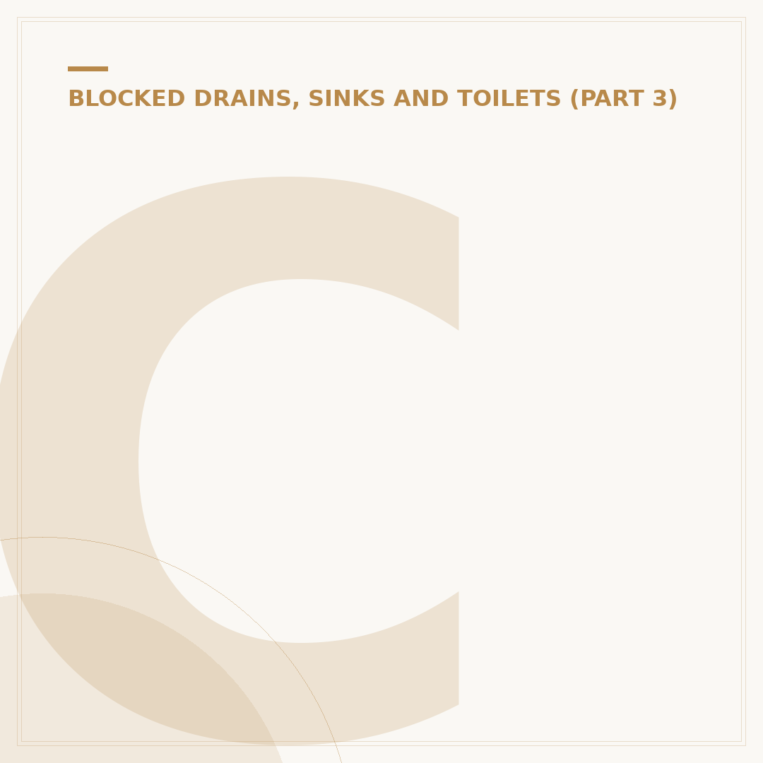 Clear a Blocked Toilet Without a Plunger