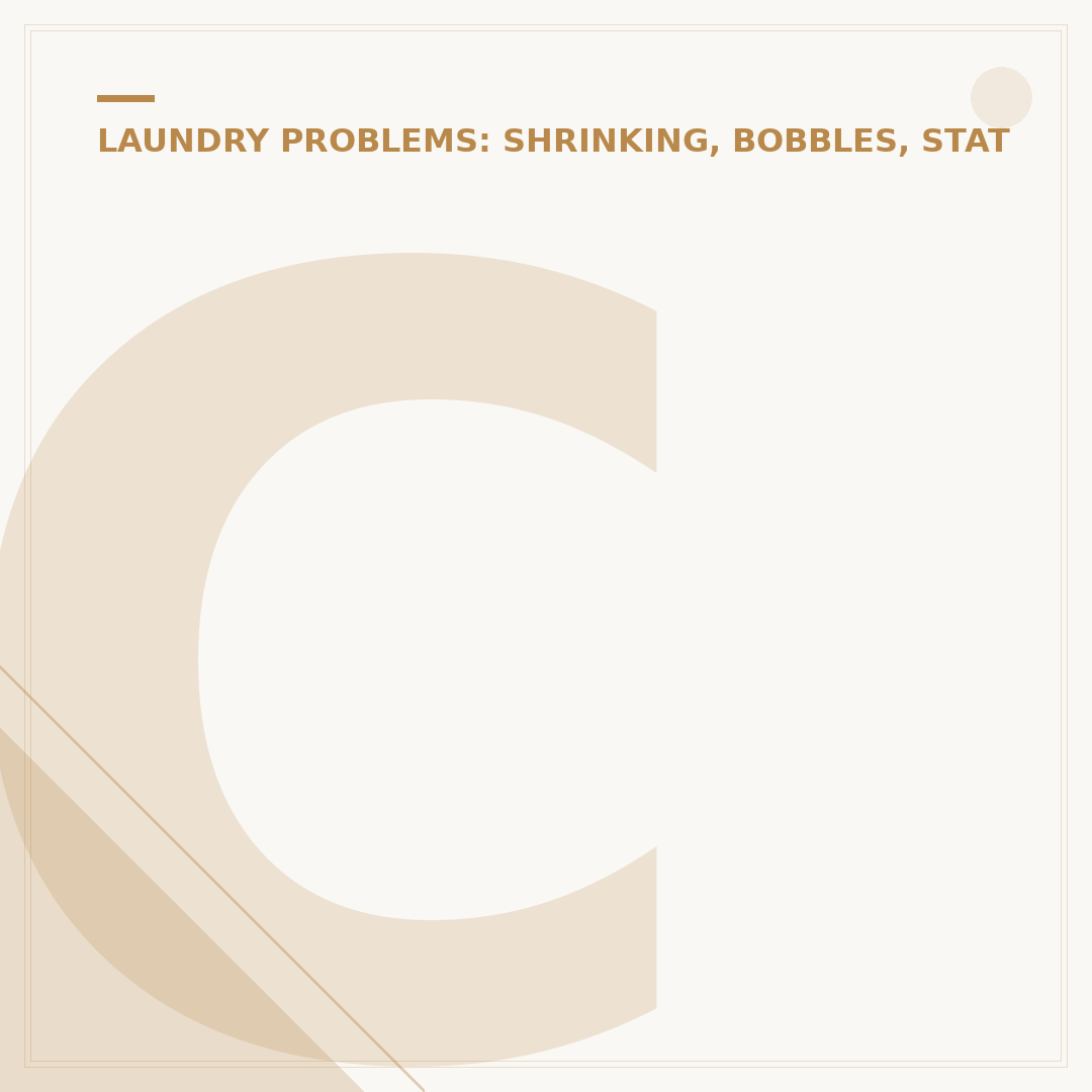 Clothes Dryer Lint Filter: Care and Importance
