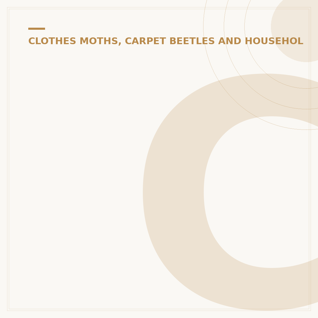 Clothes Moths: Identification, Prevention & Removal