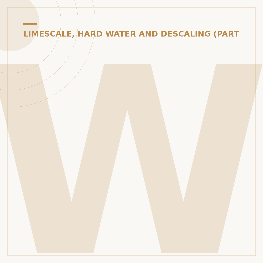 What to Use to Descale Your Kettle: Effective Agents