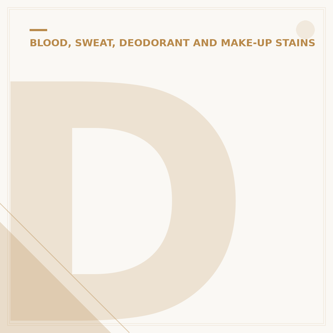 Dog Period Stains: Effective Removal and Prevention