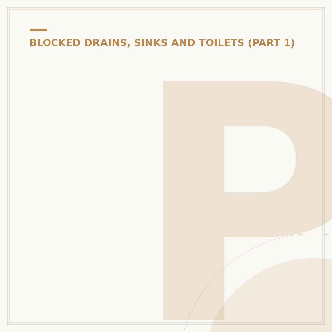 Professional Drain Cleaner Service Explained