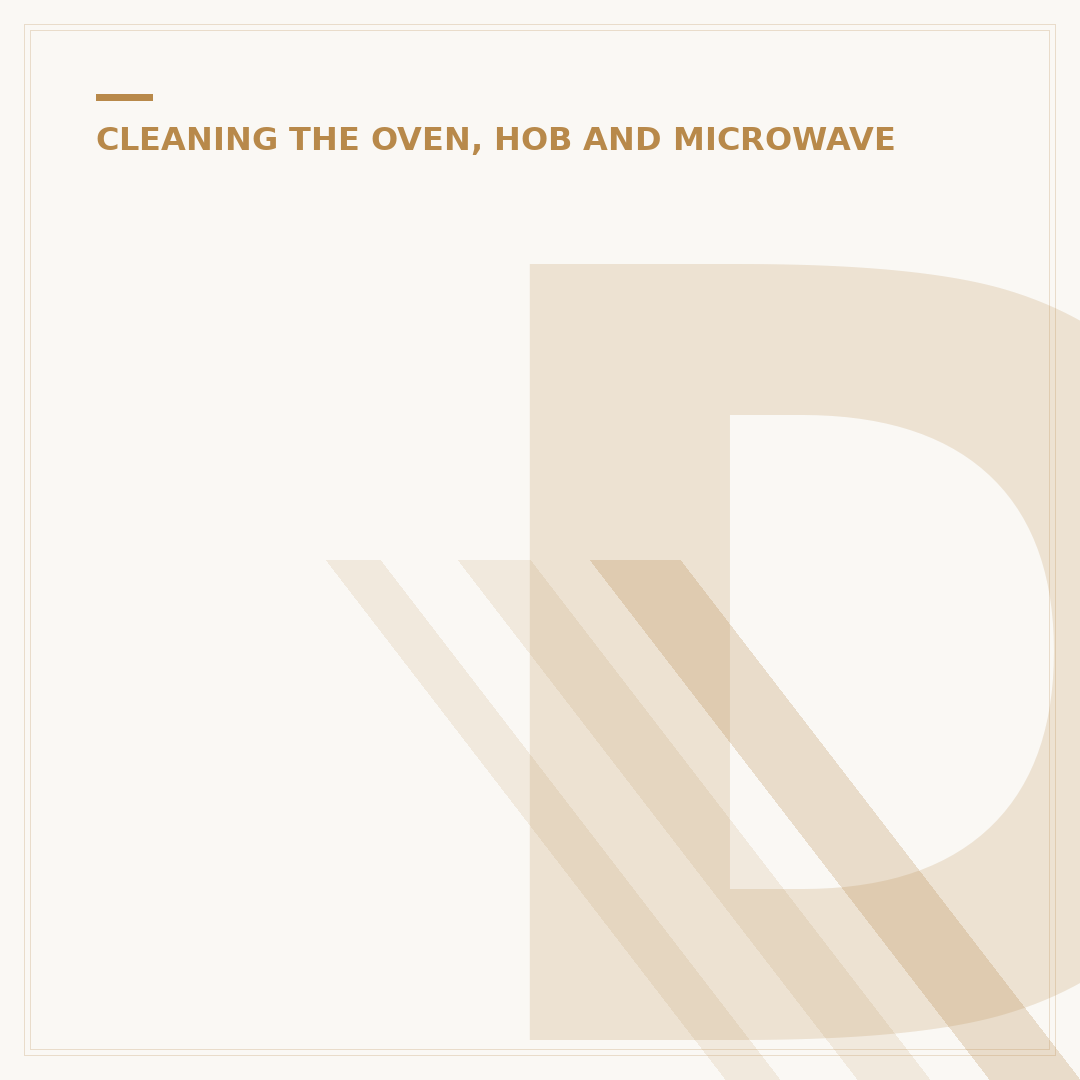 Dust Extractor for House