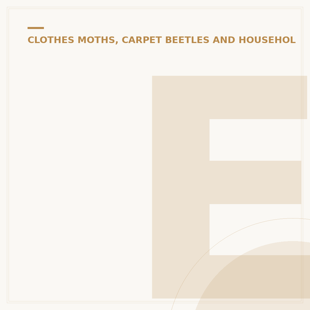 Early Bed Bug Stains on Sheets