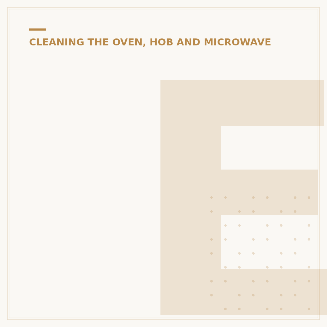 Eco Oven Cleaner