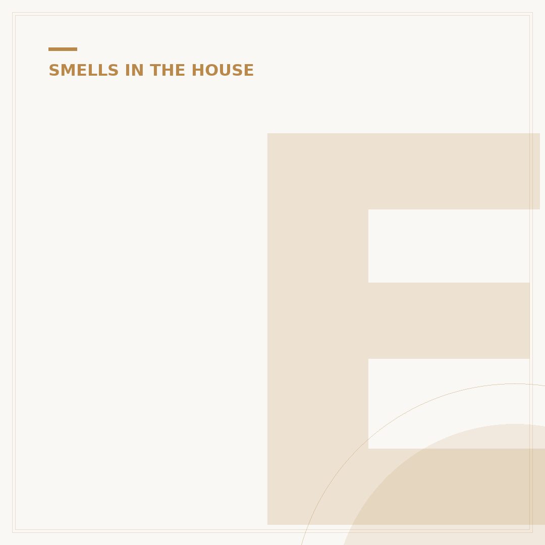 Egg Smell in House: Causes and How to Remove Odour