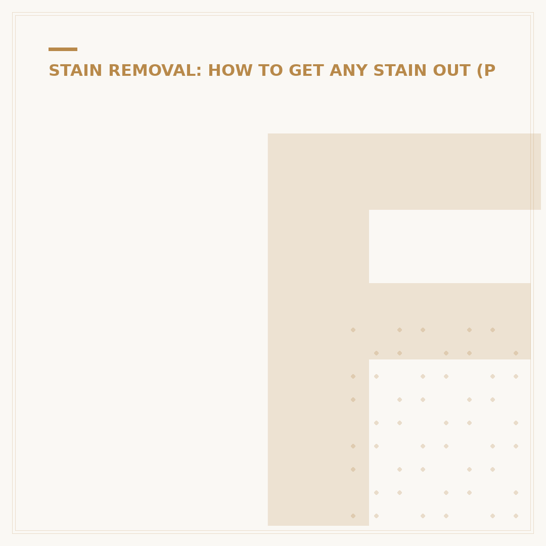 Fabric Stain Remover: How to Choose and Use Effectively