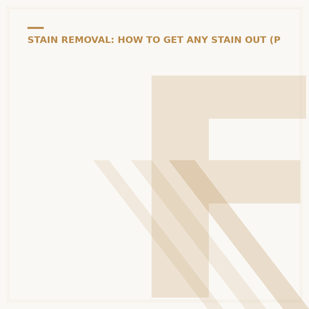 Fastout Stain Remover: How to Use and What to Expect