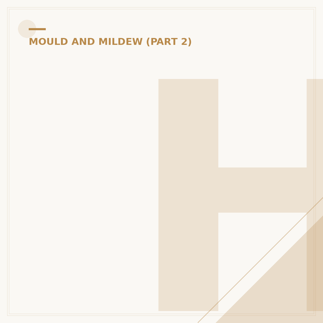 How to Get Rid of Mould Permanently