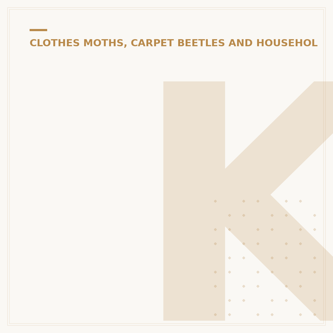 Killing House Dust Mites: Effective Strategies