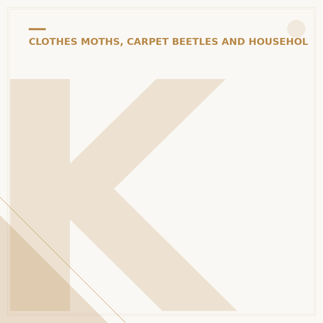 Killing Moths in Clothes: Effective Solutions Explained