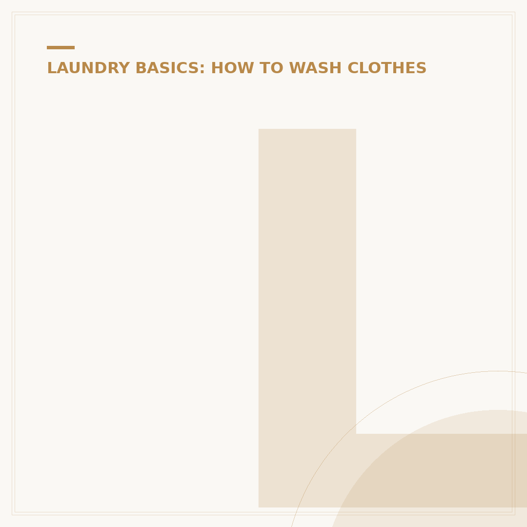 Laundry B: Understanding Appliance Brands and Basics