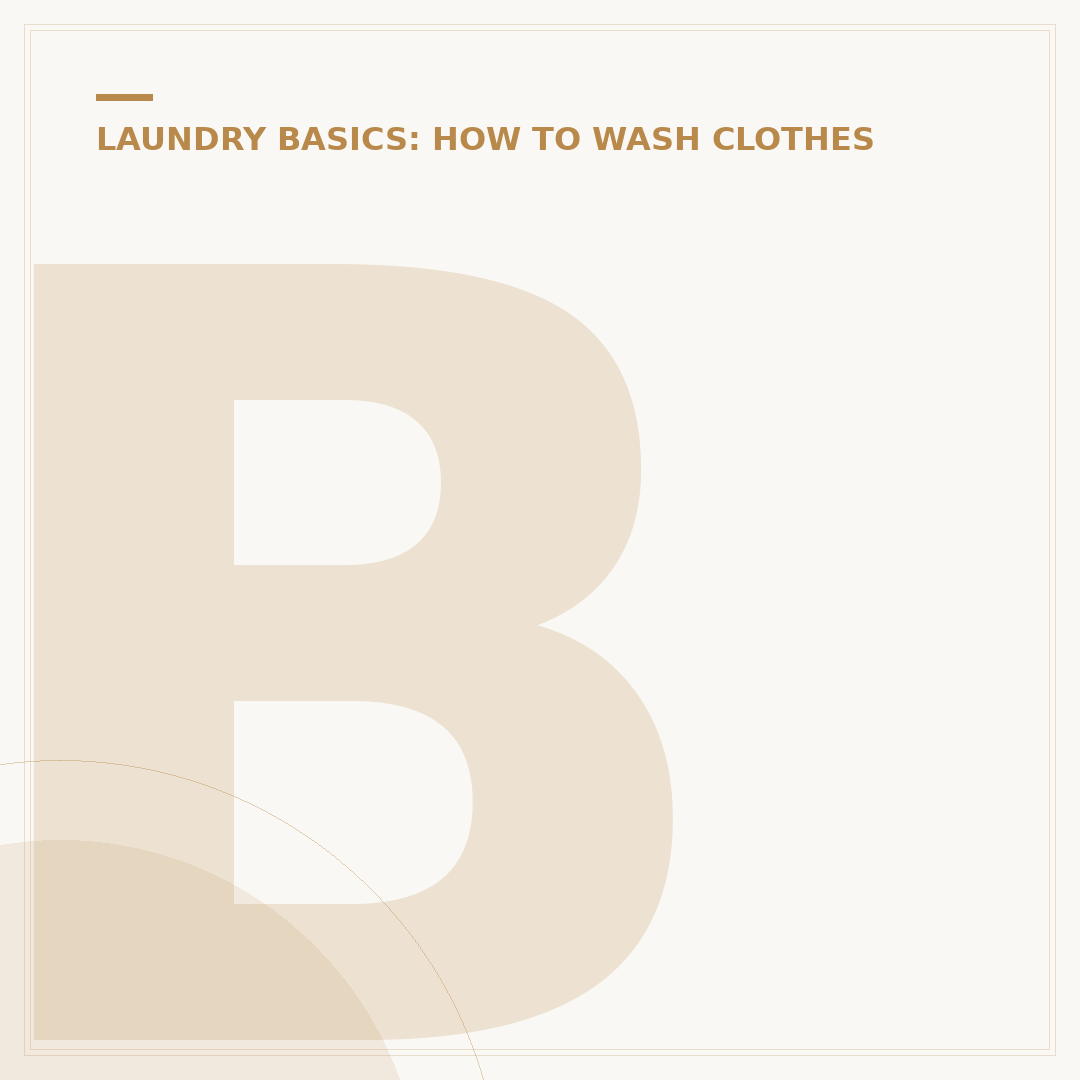 Bosch Laundry Machines: Models and Features Explained
