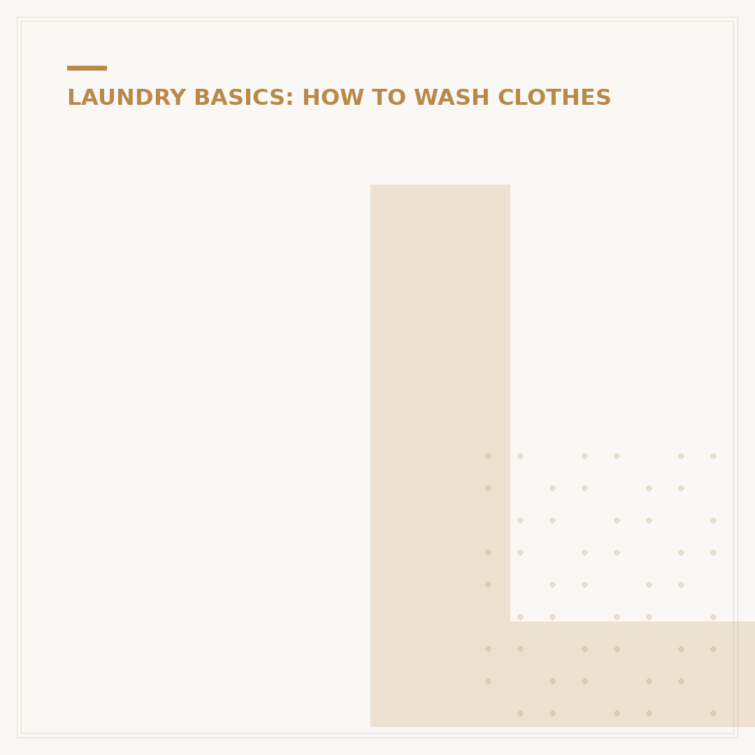 Laundry Mogul
