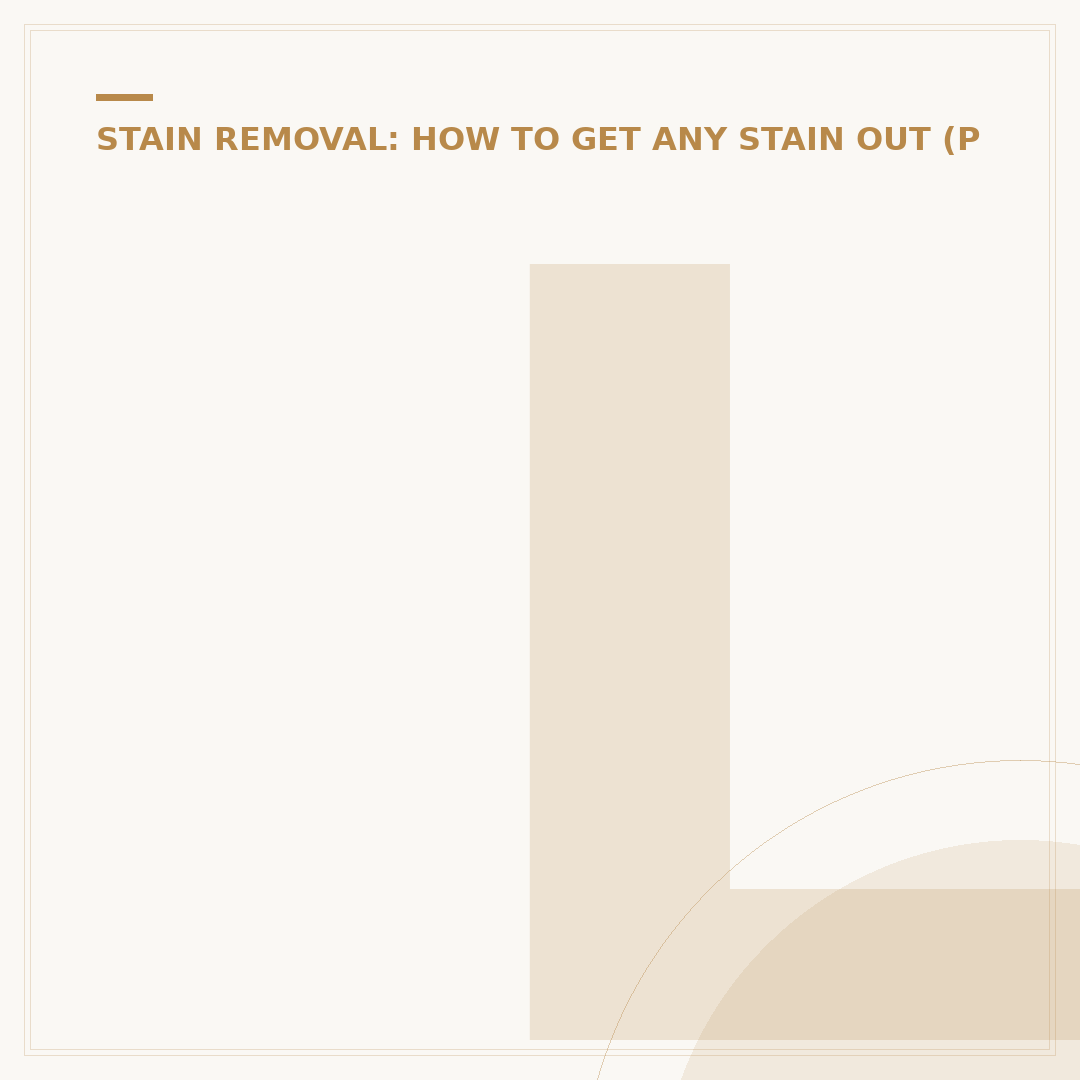 Laundry Stain Removal Products: Effectiveness & Types