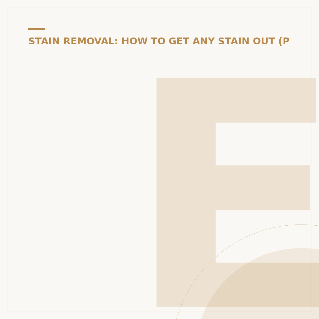 Effective Laundry Stain Remover Options