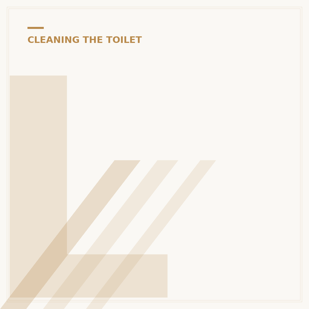 Little Duck Toilet Roll: What to Know
