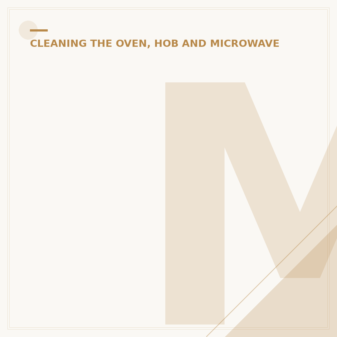Microwave Oven Cleaner