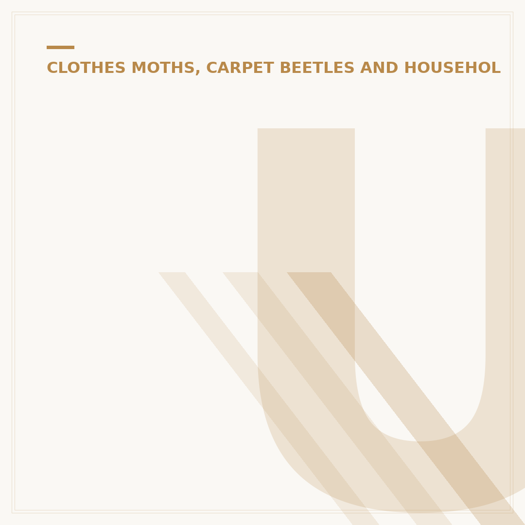 Understanding Moth Holes in Textiles: Causes and Prevention