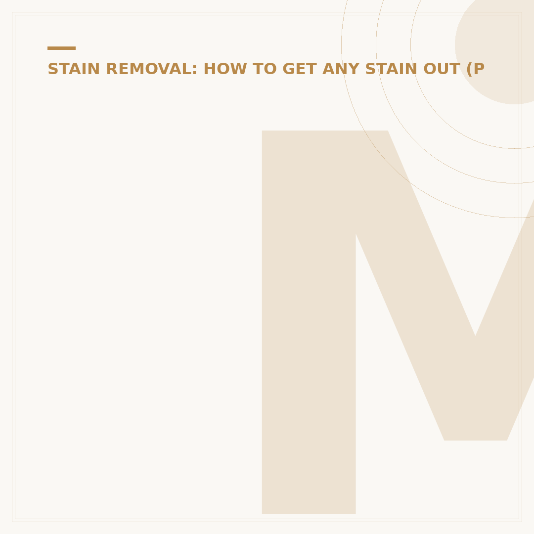 Mr. Beckmann Stain Remover: Types and How to Use