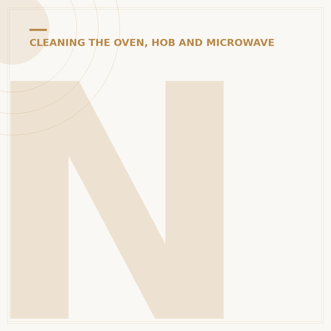 Nancy Birtwhistle Oven Cleaner: What To Know