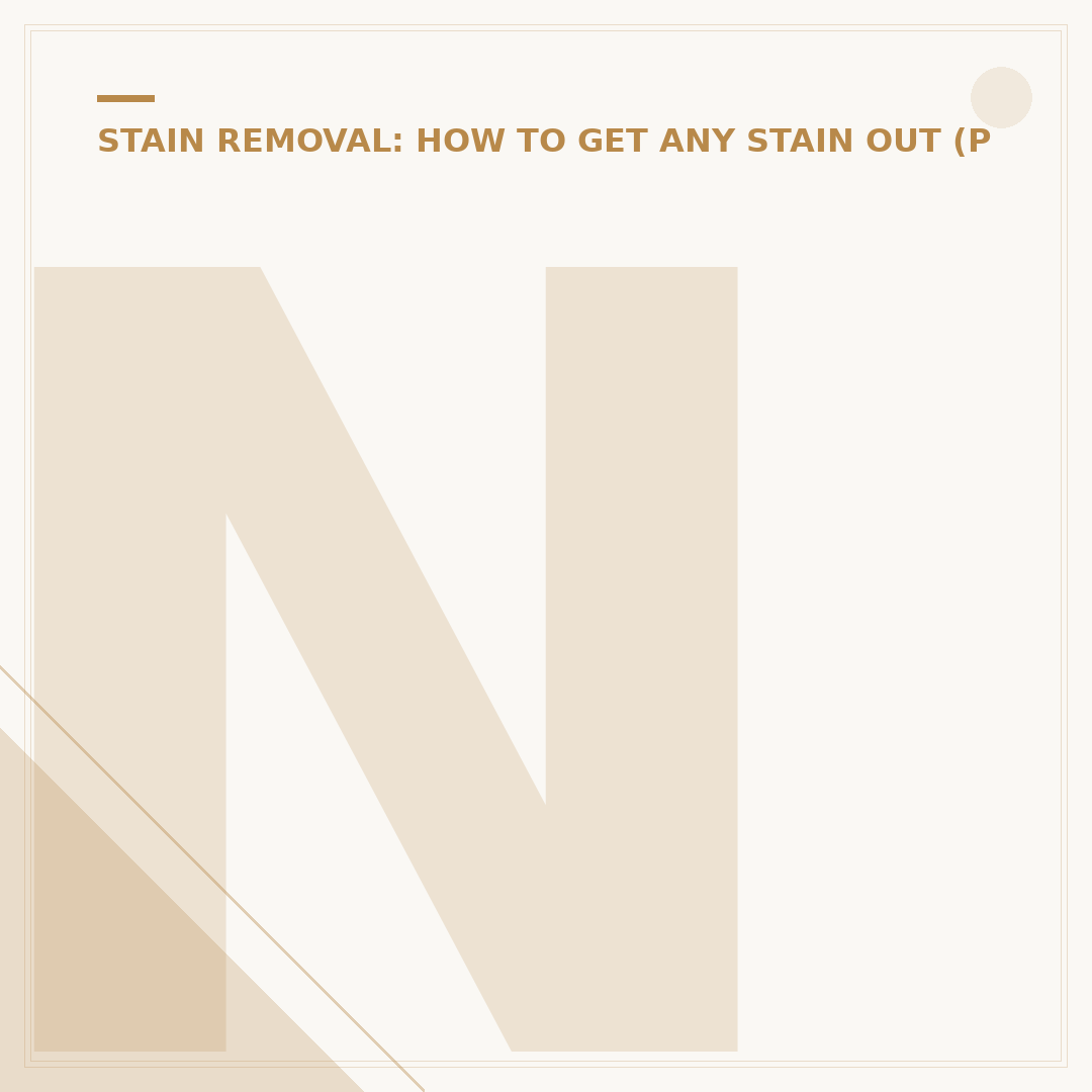 Nancy Birtwhistle Stain Removal Methods Explained