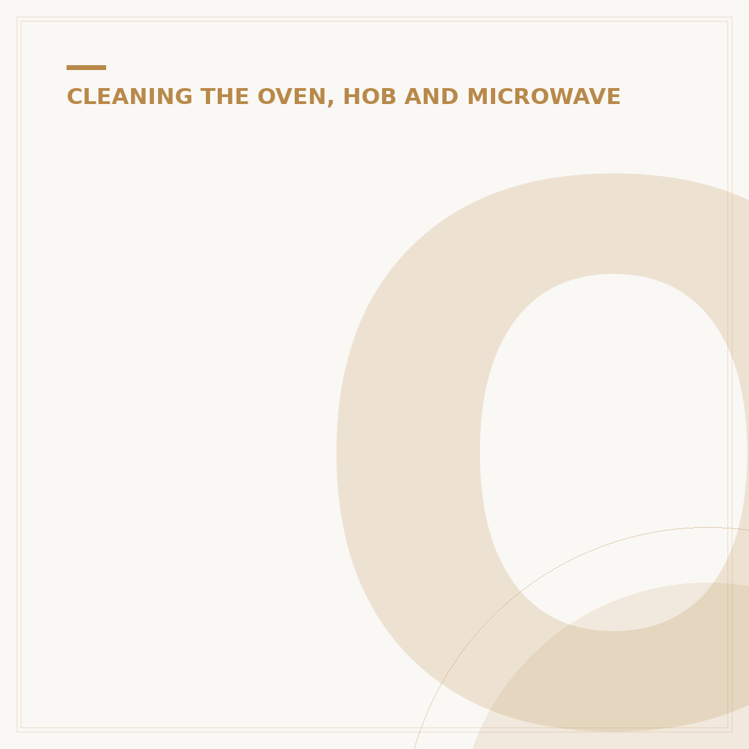 Oven Cleaner Kit: What to Look For