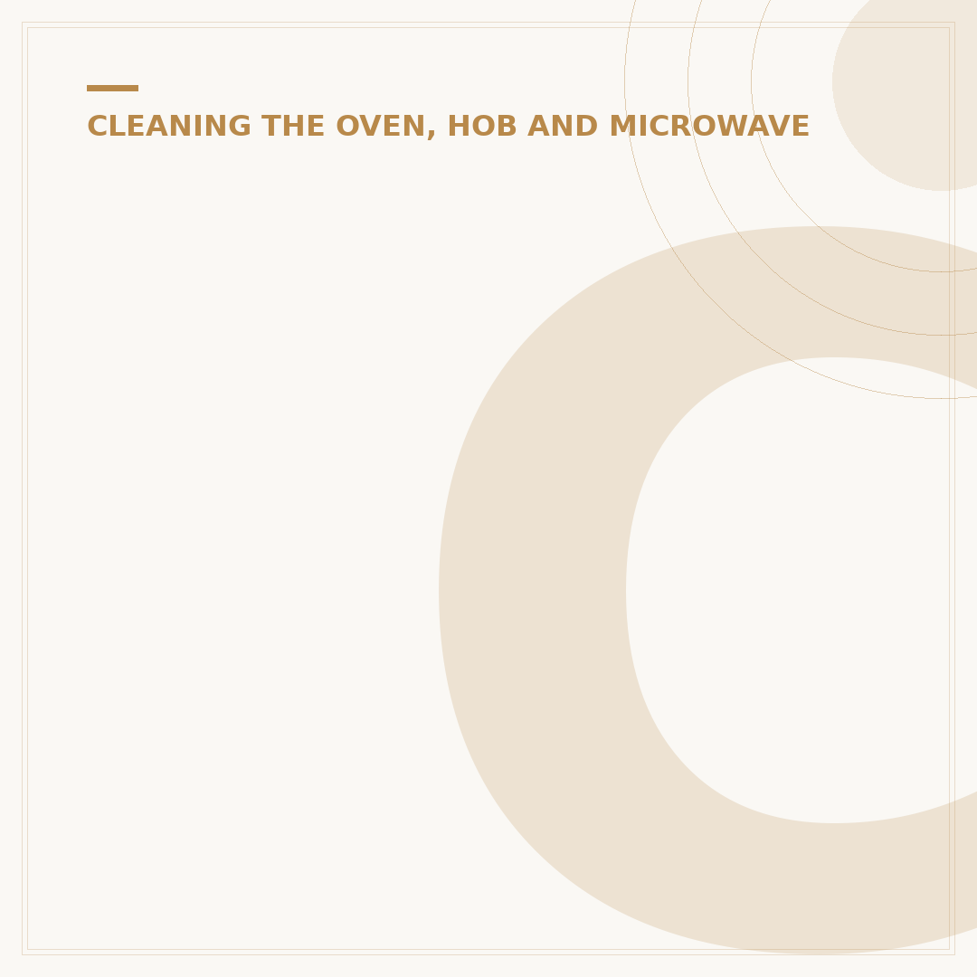 Cleaning Oven Spray