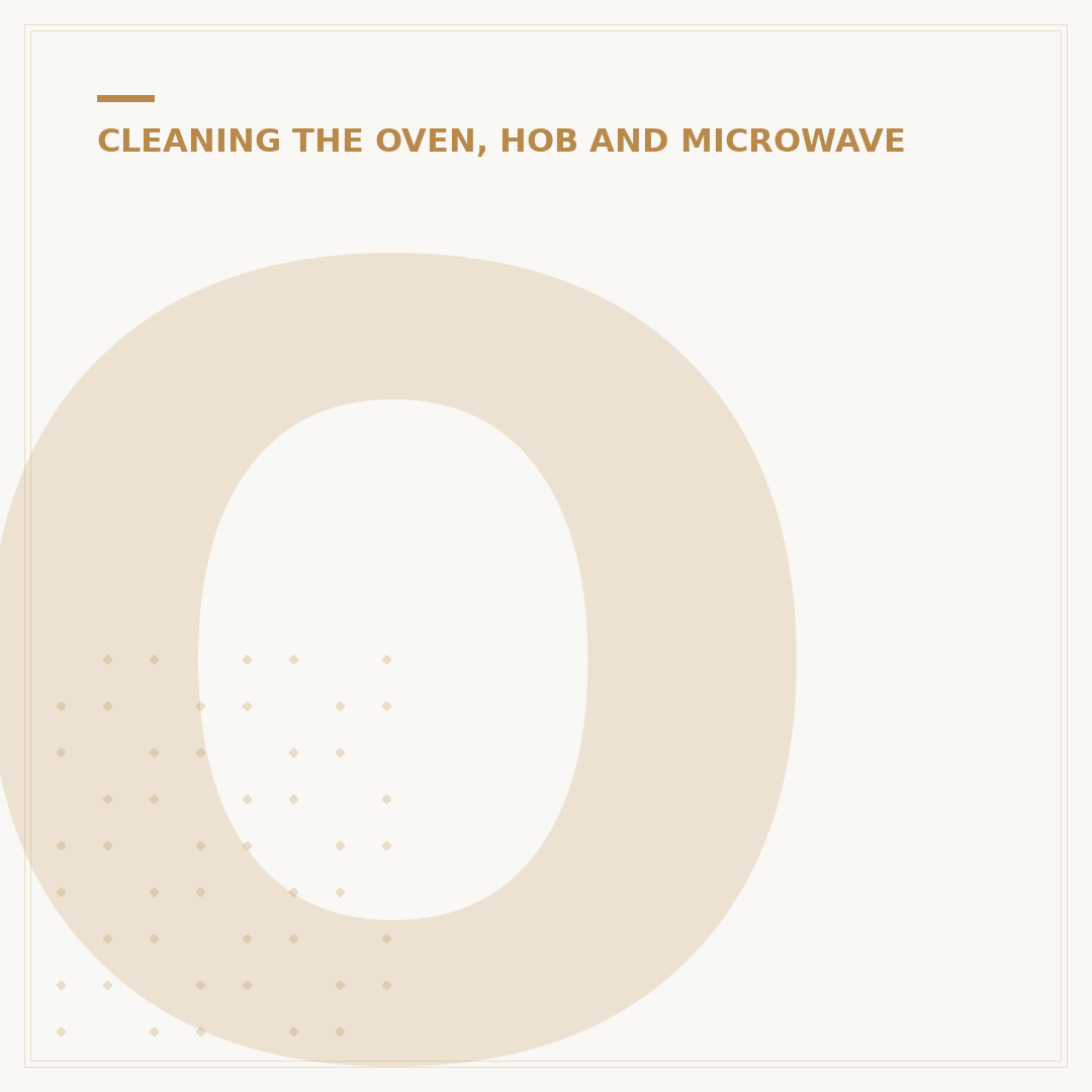 Oven with Steam Clean Function Explained