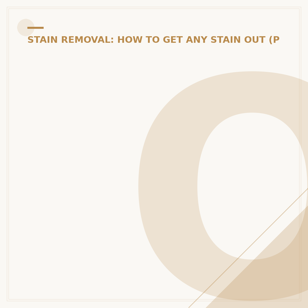Oxi Stain Remover Spray: Effective Spot Cleaning