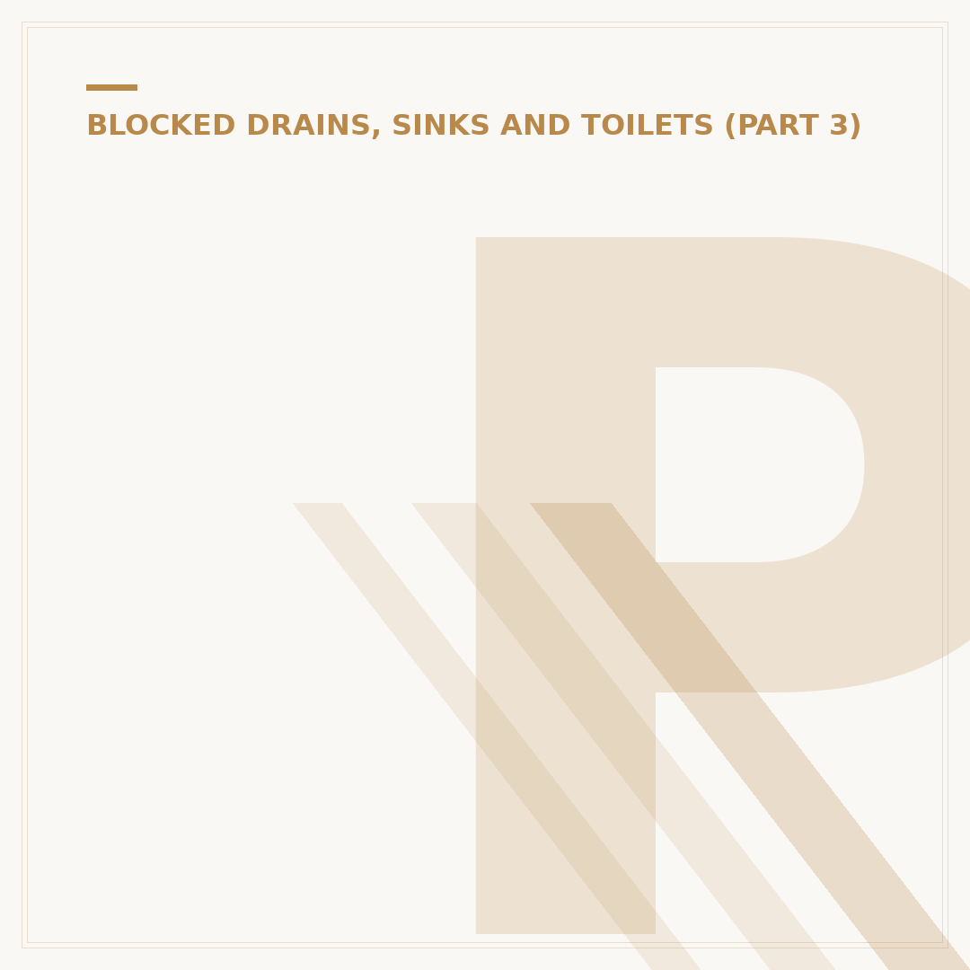 Partially Blocked Toilet: Causes and How to Unblock