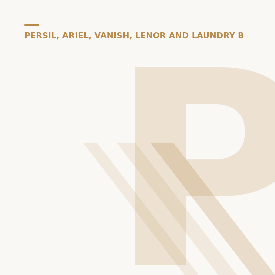Persil 3 in 1 Laundry Pods Explained